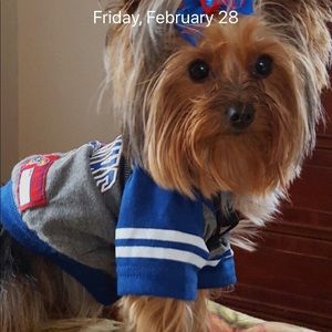 Meet your Posher, Sophie